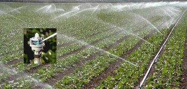 智能灌溉的发展前景如何
