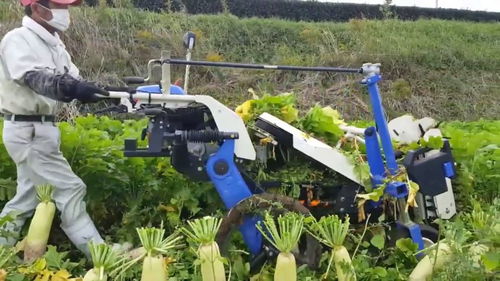智能化农业设备在高产栽培
